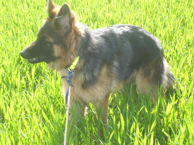 Steinkuhle 2008 (8).JPG